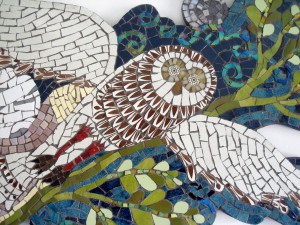 mosaiic molly closeup        